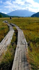 ずっと来たかった