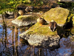 怖いもの知らず