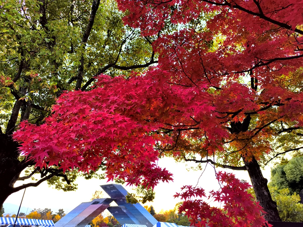 スポーツ公園の夕暮れ