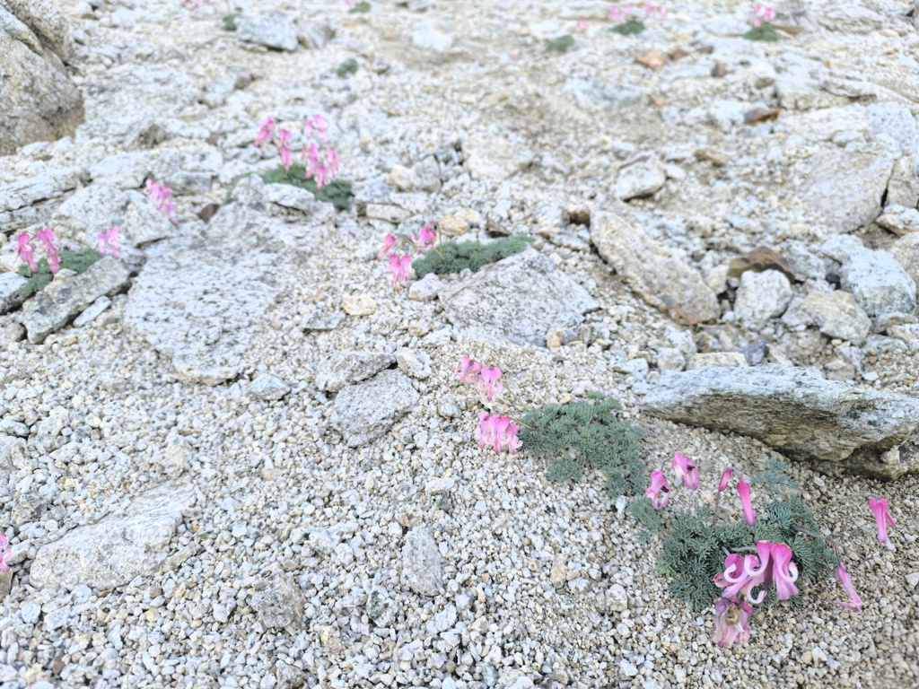 癒やしのひと時