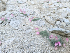 癒やしのひと時