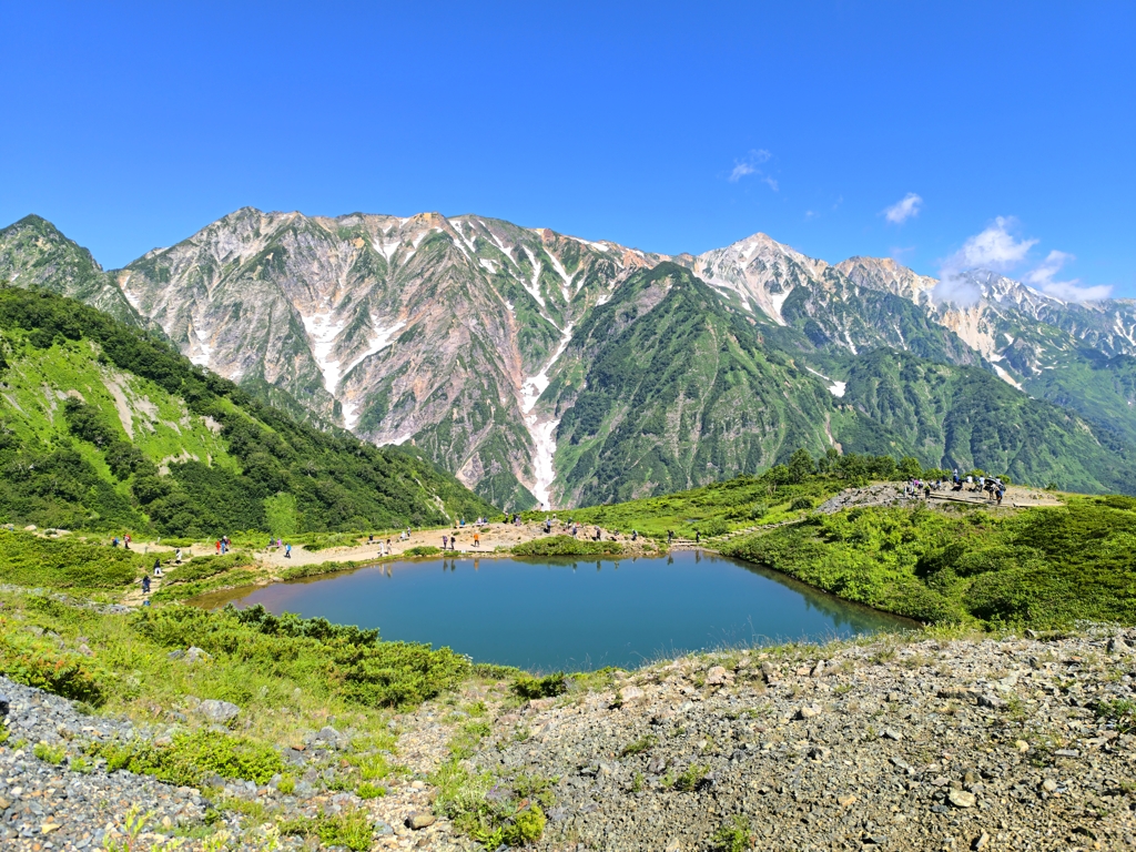 今年も見れるかな