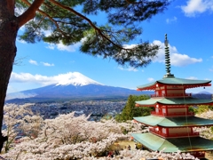 待ち遠しい季節