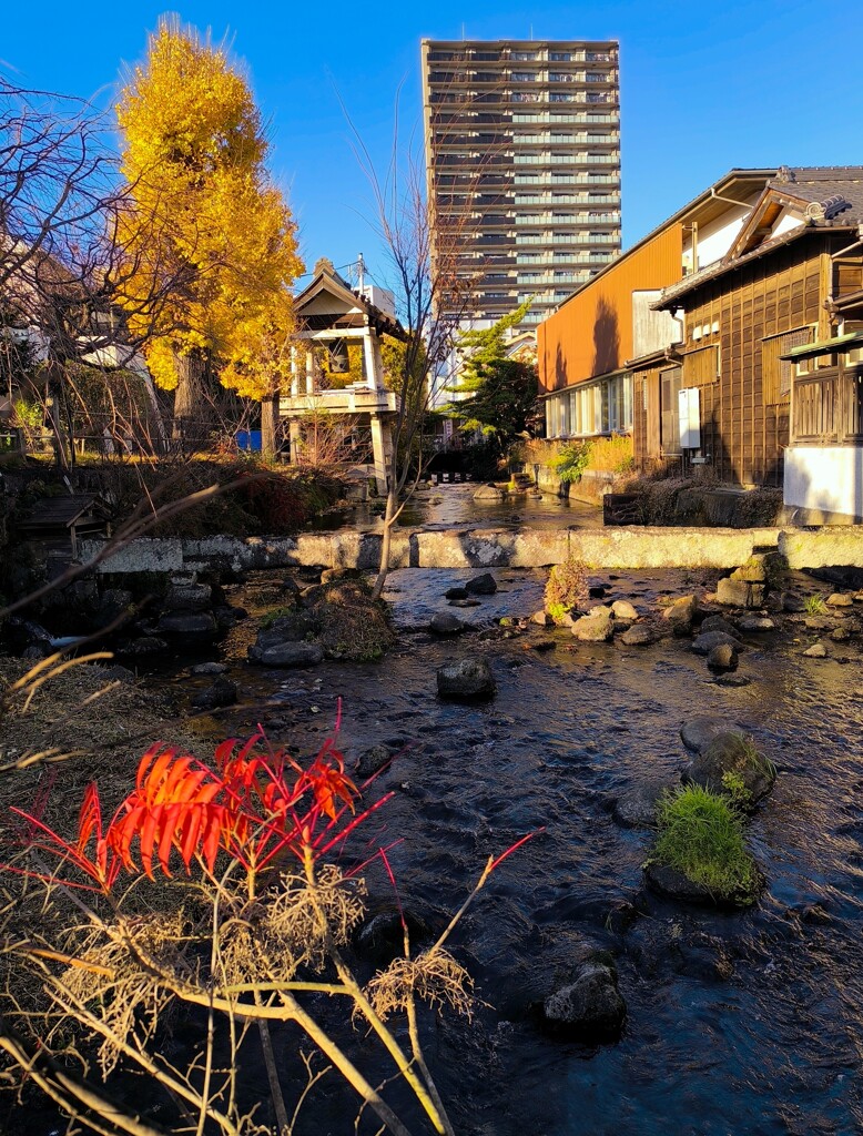 街なかのオアシス