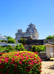 お城シリーズ⑭