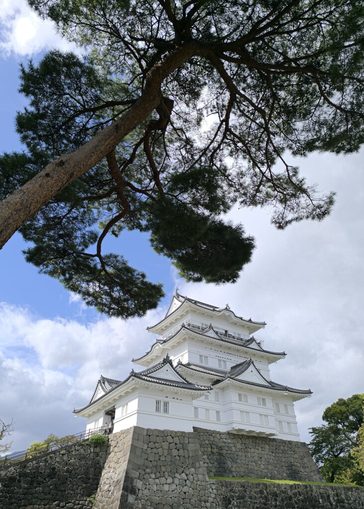 お城シリーズ①