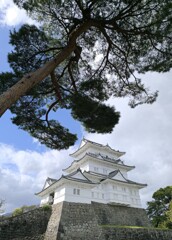 お城シリーズ①