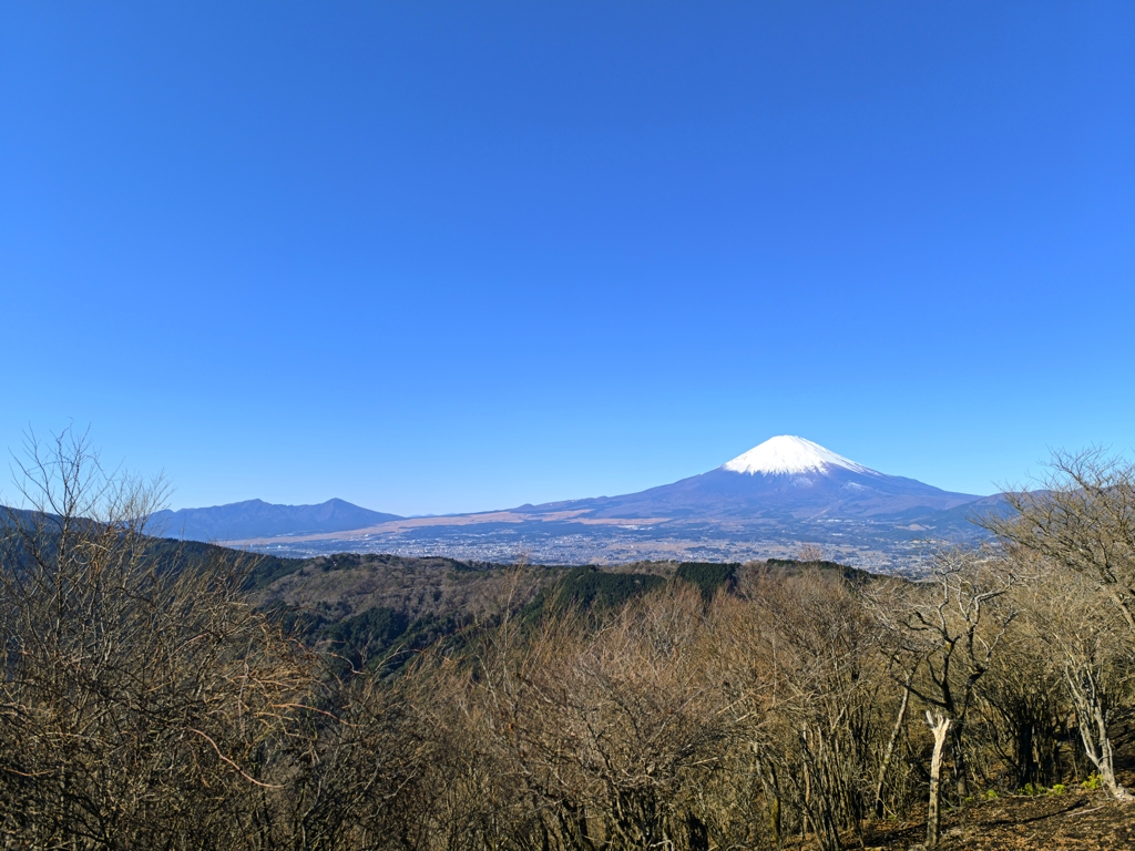 矢倉岳山頂から