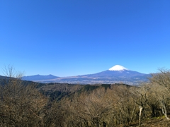矢倉岳山頂から