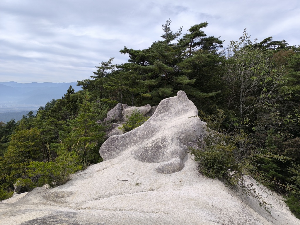 愛嬌のある奇石