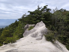 愛嬌のある奇石