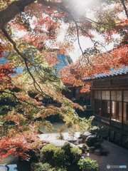 紅葉の百済寺