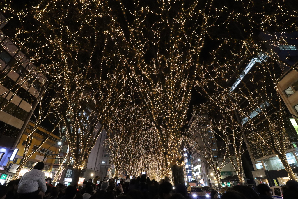 冬のイルミネーション