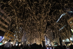 冬のイルミネーション