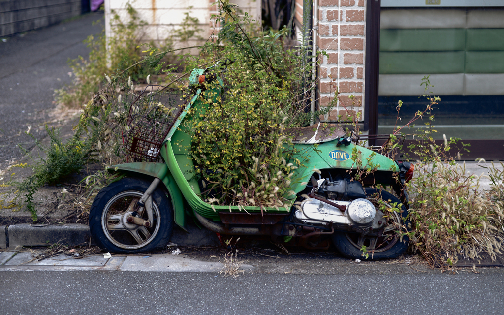 スナップ 東京 11月