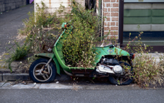 スナップ 東京 11月