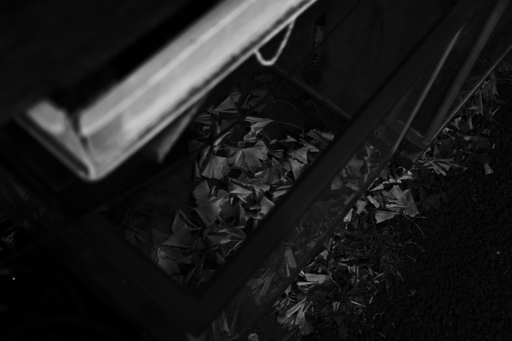 ストリートスナップ 東京 １月