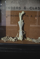 スナップ 東京 11月