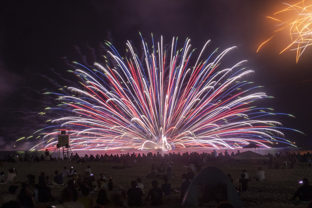 トリコロールな海中ラスト