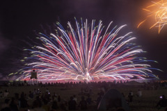 トリコロールな海中ラスト