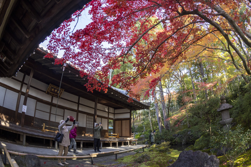 魚眼は補正しない