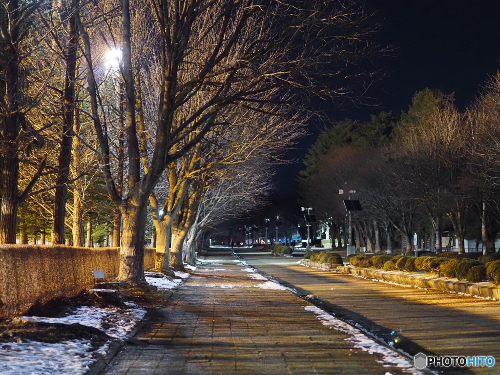 運動公園2025.12月