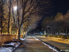 運動公園2025.12月