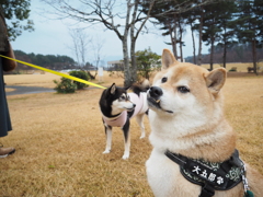 「・・・と、いう事があったのさ」