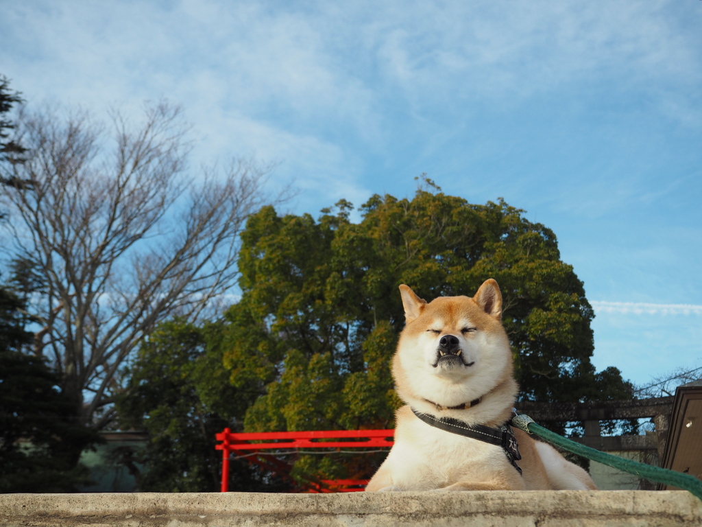 素人は黙っとれ