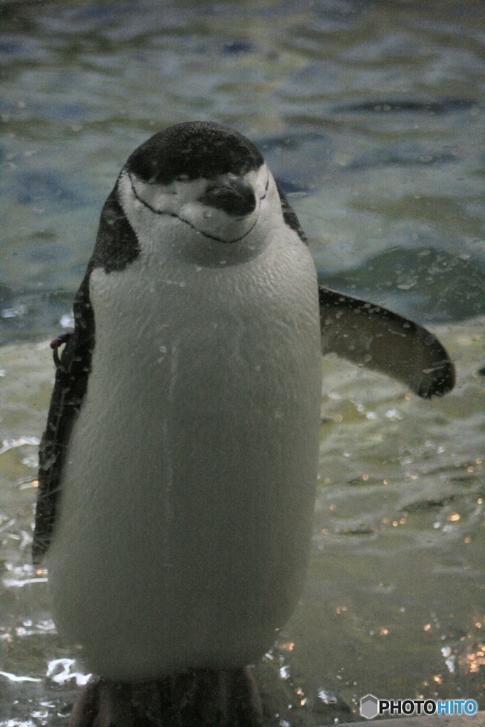 こちらにどうぞ