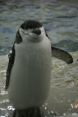 こちらにどうぞ