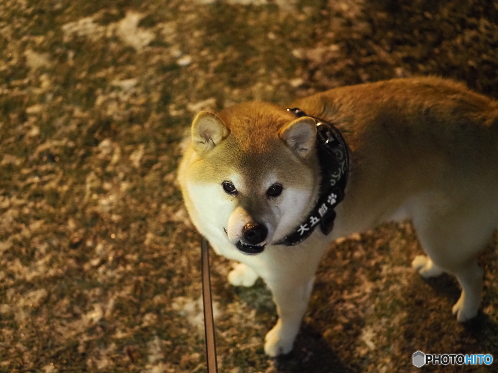 なにしてるんですか