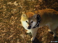 なにしてるんですか