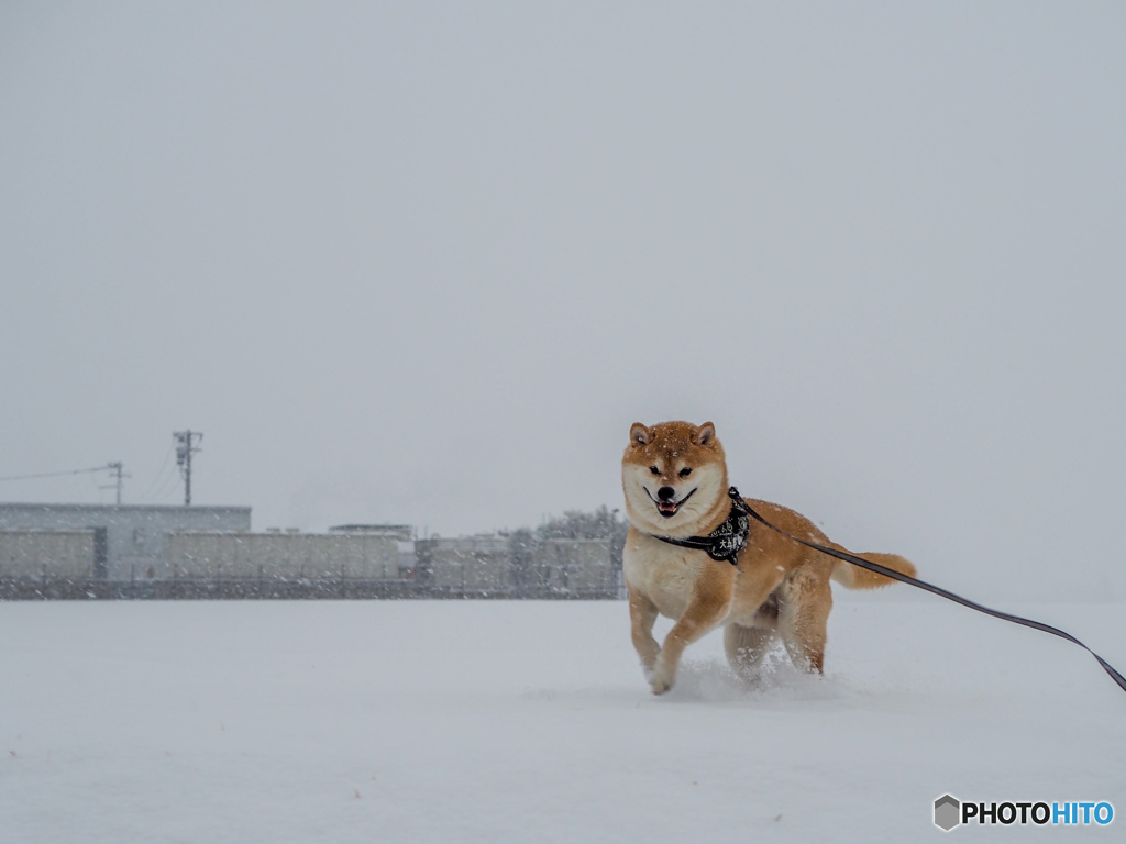 「待っていたぜぇ…この瞬間(とき)をよぉｯ!」