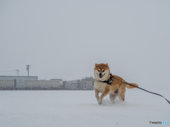 「待っていたぜぇ…この瞬間(とき)をよぉｯ!」
