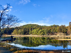 毛越寺　大泉が池