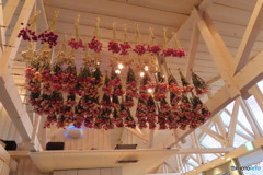 ドライフラワー