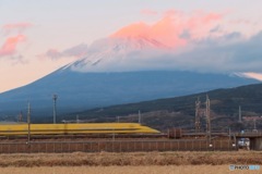 T4編成　見納め