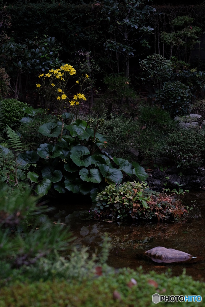 2015年10月の写真