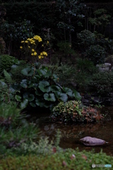 2015年10月の写真