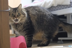 こっち見るなよぉ