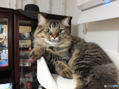 悩みがあるなら言ってごらんなさいよ