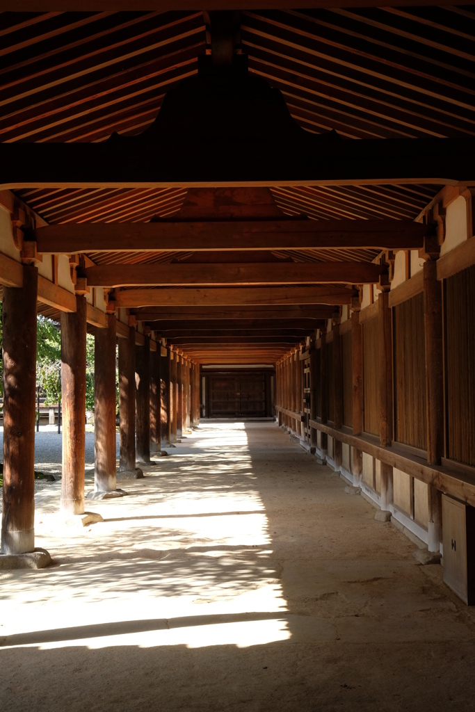 2015年9月の写真