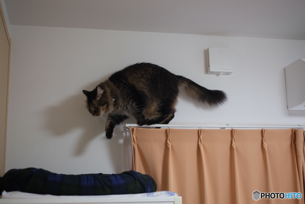 日課のパトロール