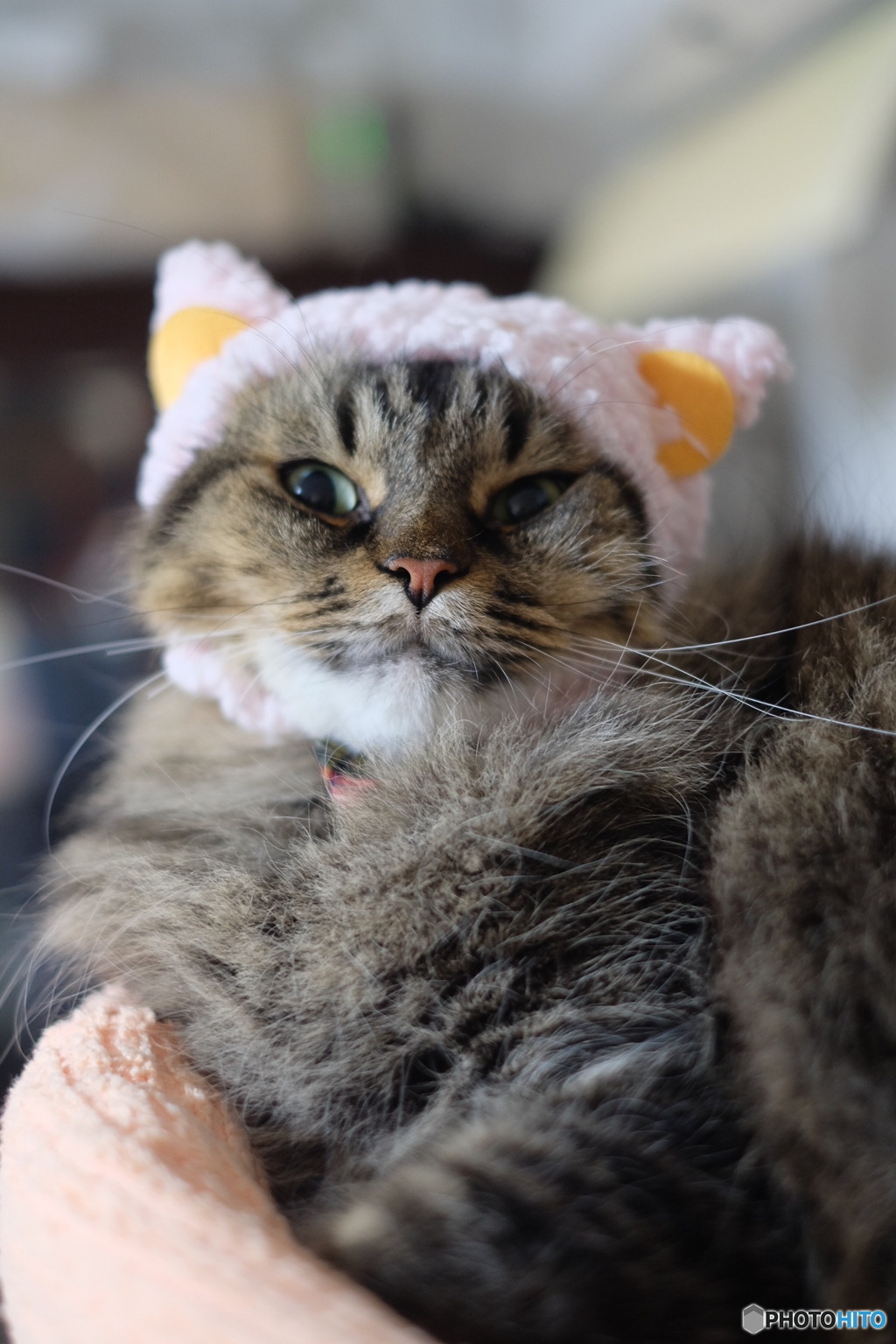 メリークリスマス