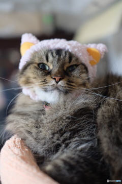 メリークリスマス