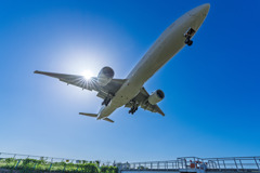 見上げれば飛行機