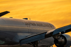 夕暮れのJAL