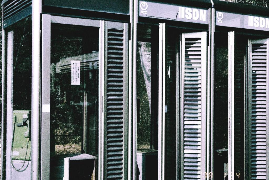 そうして結局生き残るのは