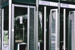 そうして結局生き残るのは